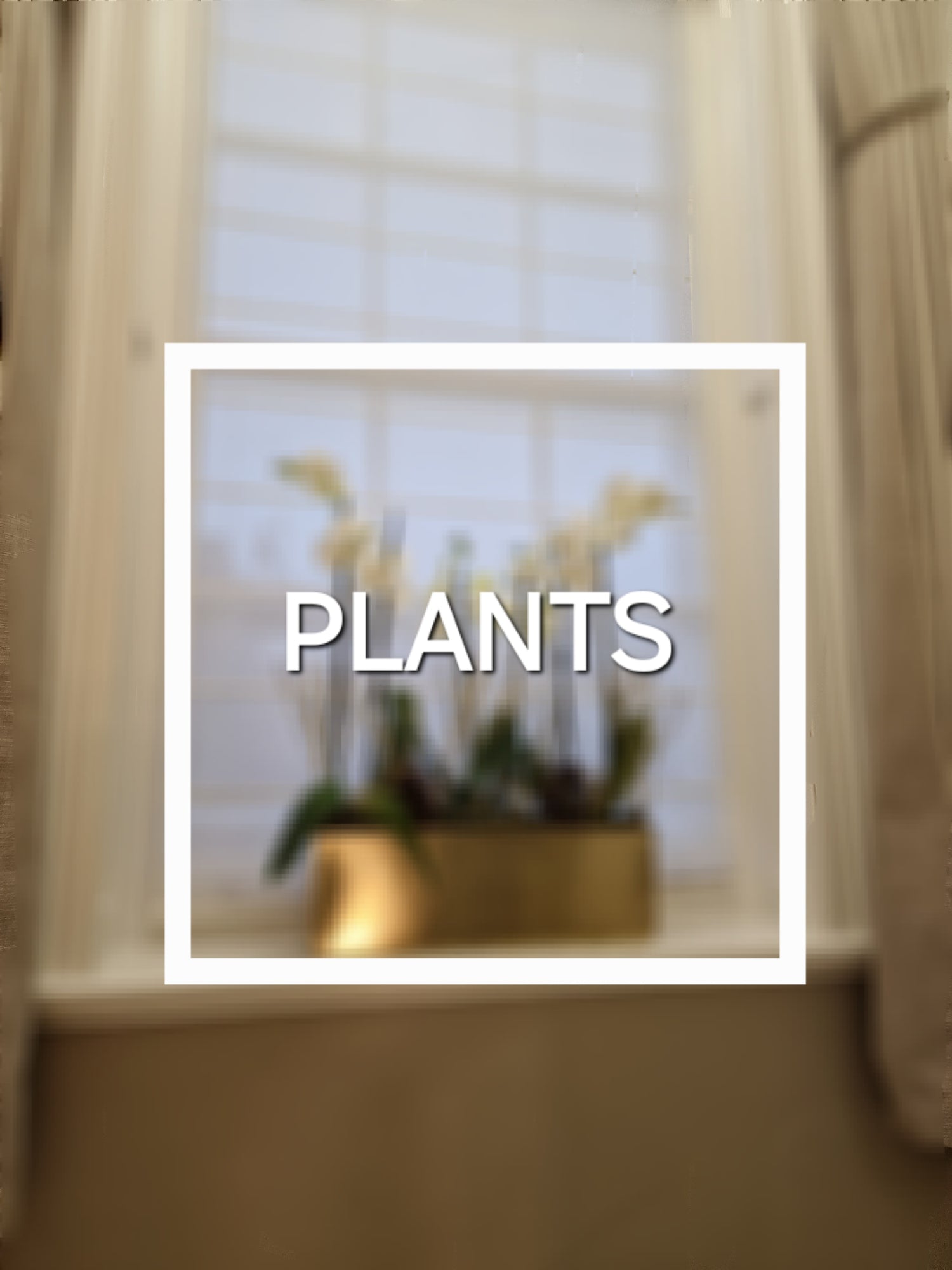 Plants