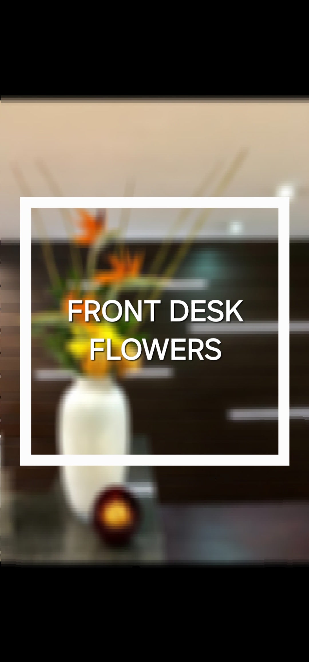 Front of Desk Flowers